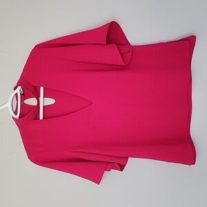 Zara Fuchsia V-Neck Short Sleeve Top